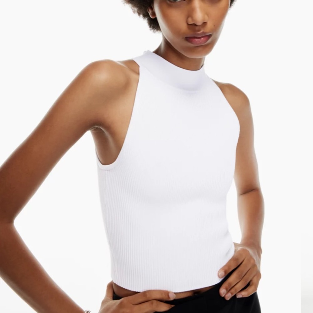 Babaton aritzia sculpt knit halter tank top
